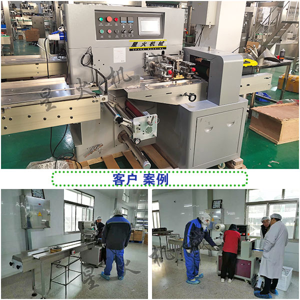全自動蔬菜加工生產機械